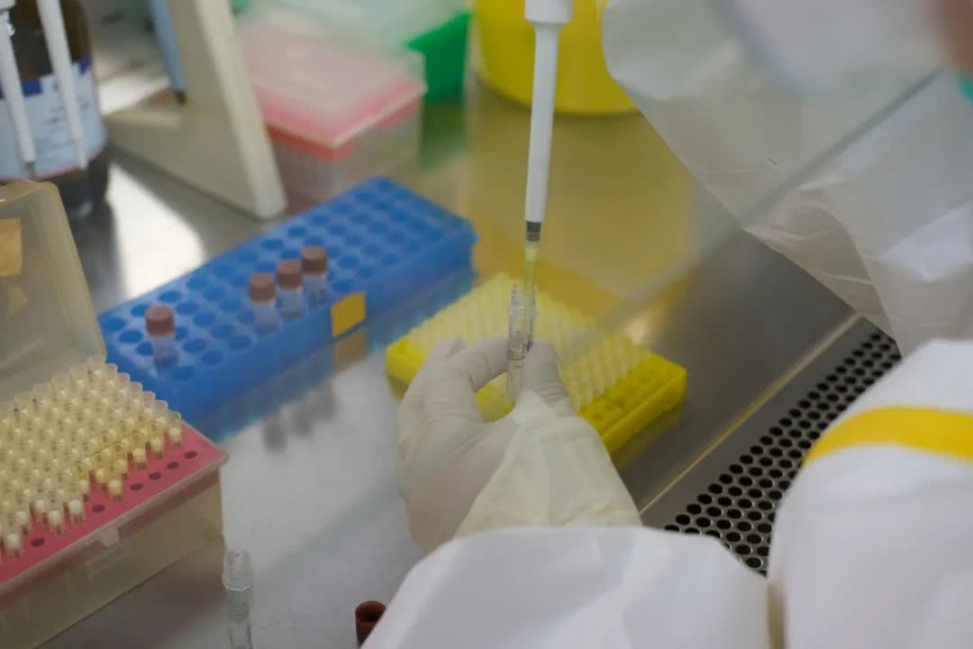 核酸檢測又降價！多地增設(shè)24小時檢測服務(wù)機構(gòu)